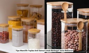 Tips Memilih Semut