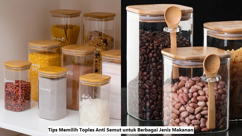 Tips Memilih Semut 